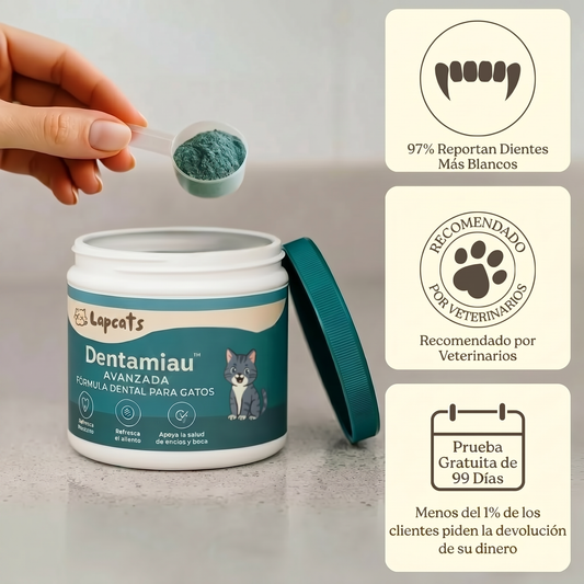 DentaMiau - Fórmula dental avanzada