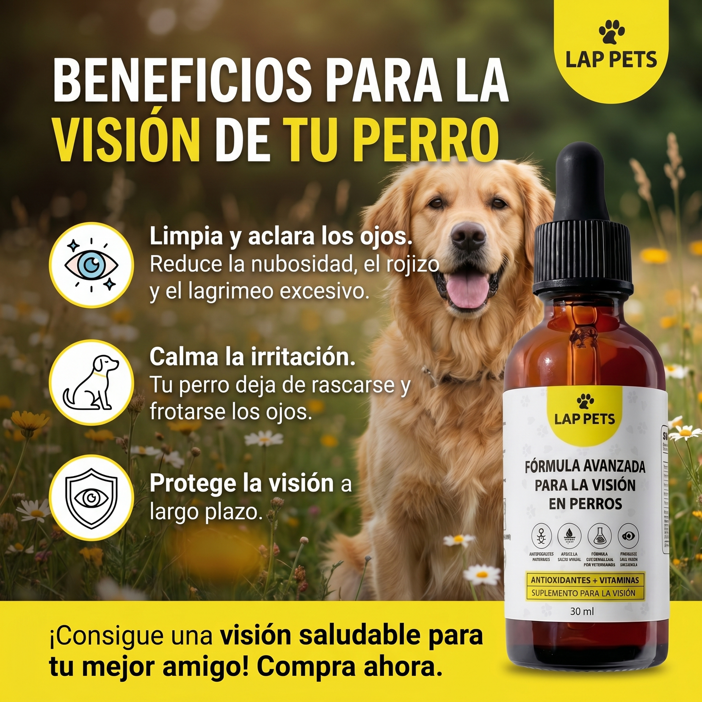 Lap Pets - Ayuda a tu perro a ver el mundo con claridad y comodidad.