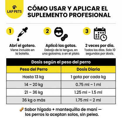Lap Pets - Ayuda a tu perro a ver el mundo con claridad y comodidad.