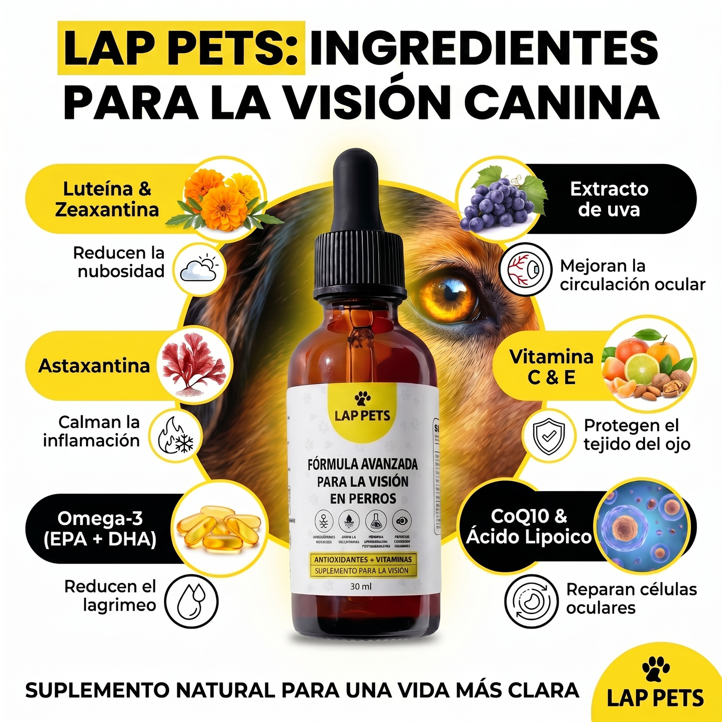 Lap Pets - Ayuda a tu perro a ver el mundo con claridad y comodidad.