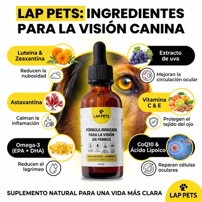Lap Pets - Ayuda a tu perro a ver el mundo con claridad y comodidad.